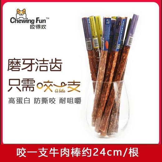 咬得欢咬一支狗狗磨牙棒洁齿零食奖励宠物补钙牛肉味24cm/根 商品图0