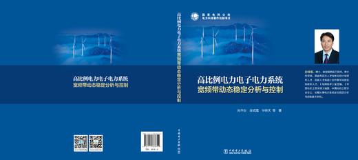 高比例电力电子电力系统宽频带动态稳定分析与控制 商品图2