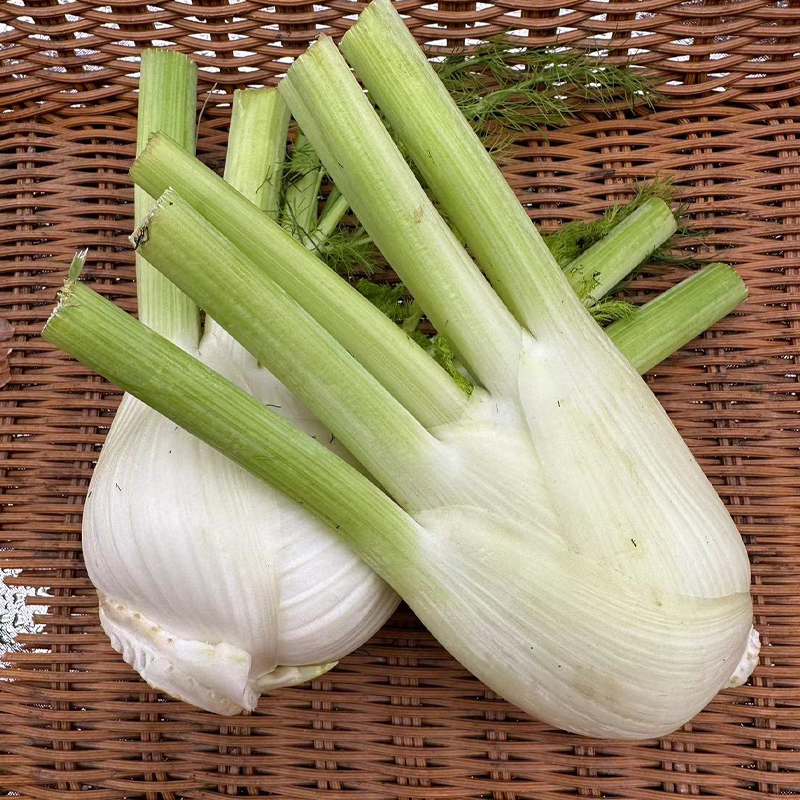 【自营】高原有机大茴香（球茎茴香）250g-300g