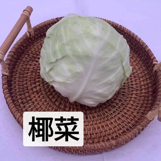 【自营】高原有机椰菜（圆包菜） 商品图0