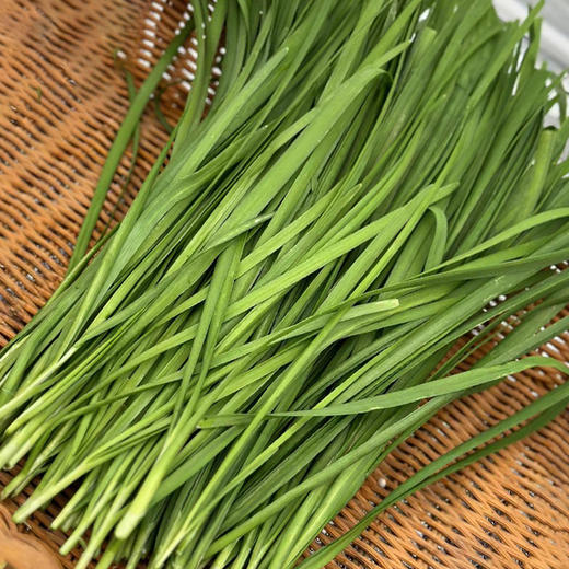 【自营】高原有机韭菜 250g ±10g 商品图0