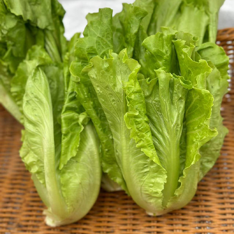 【自营】高原有机生菜 250g  ±10g