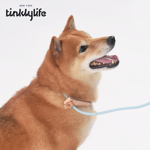 Tinklylife 自然十合一防水牵引胸背 商品图3