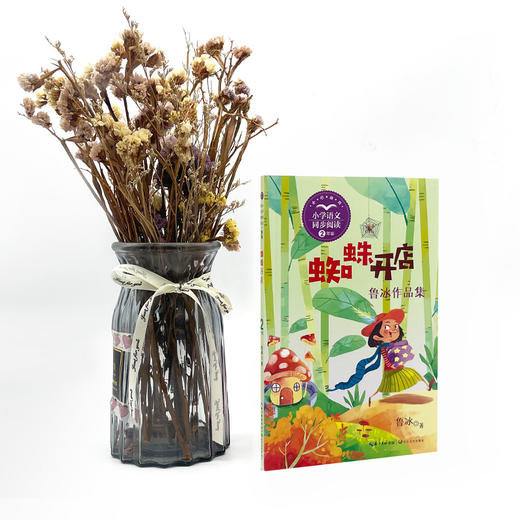 蜘蛛开店 新版 商品图1