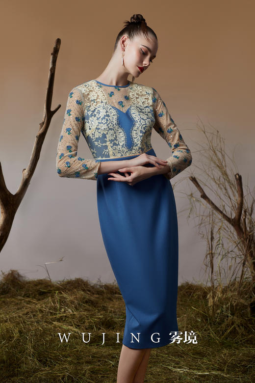 3203030 青蓝冰水 进口亮丝斜纹\股线亮片刺绣网纱连衣裙 雾境 商品图3