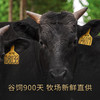 【黑牛先生】黑毛和牛牛肉片 150g/盒*3 商品缩略图3