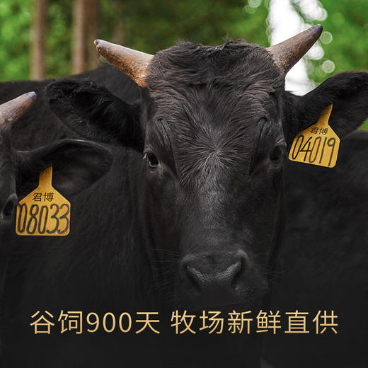 黑毛和牛牛肉馅 500g/包*2 商品图3