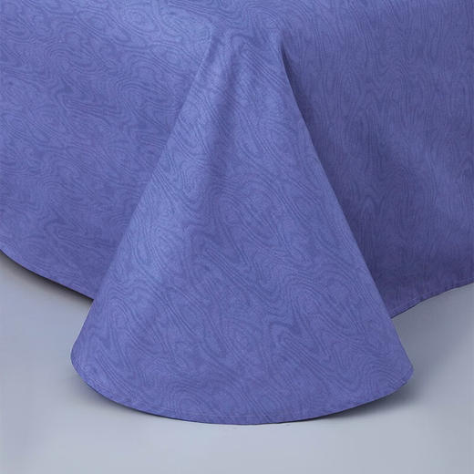 罗莱	景 30周年纪念款全棉四件套200*230cm	TGAD0095-4 商品图6