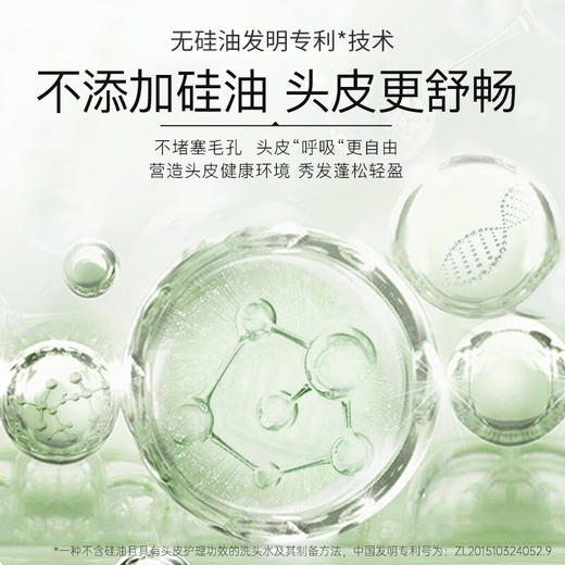 滋源无患子保湿滋养洗头水(中干性)	535ml 商品图3