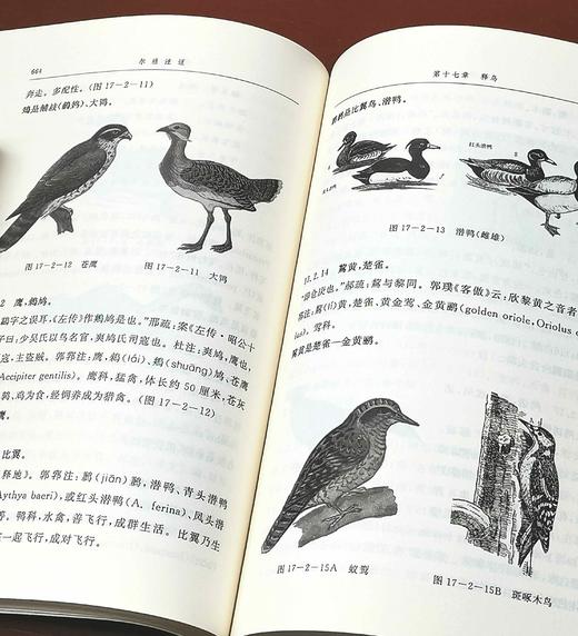 《尔雅注证》上下册 郭郛著 商品图10