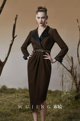 3203052 幽褐怀金 进口双色混织亮丝斜纹连衣裙 雾境