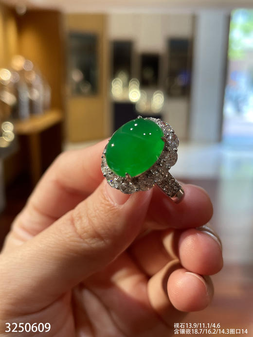 老坑玻璃种艳绿蛋面戒指【3250609】具体价格微信咨询 商品图1