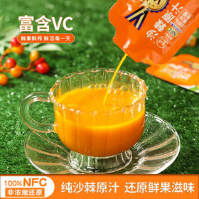 专属 低卡博士沙棘原浆鲜果生榨NFC果汁
