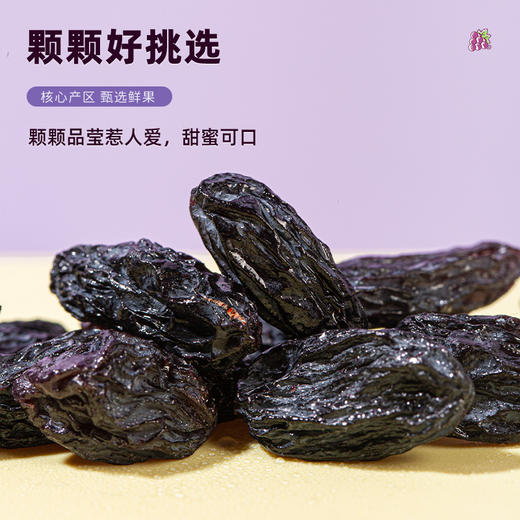 【疆果果】新疆特产 黑加仑葡萄干 260g 商品图2
