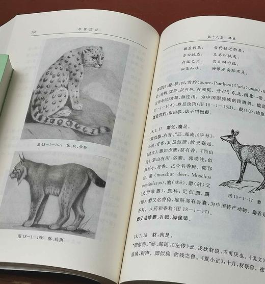 《尔雅注证》上下册 郭郛著 商品图12