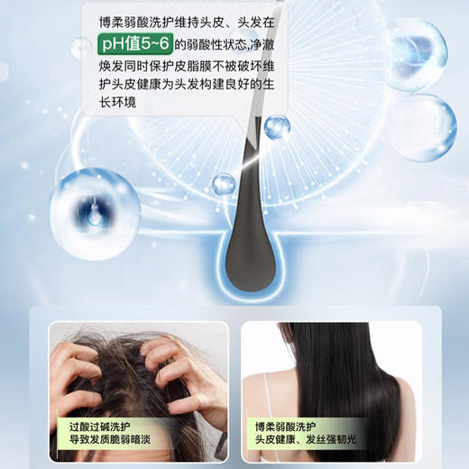 【新升级】博柔头皮去屑洗发露控油去屑止痒头皮护理洗头膏洗发水 商品图4