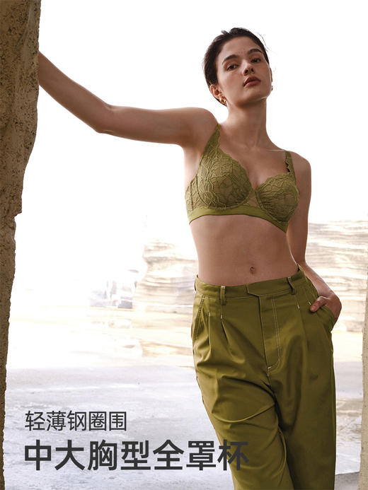 HSIA遐内衣女全罩杯微聚拢胸罩静奢风三角斑纹轻薄大胸显小文胸 商品图1