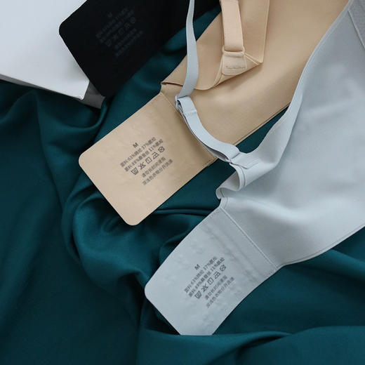 TG-TG02S208真丝无痕果冻条文胸 款无钢圈桑蚕丝内衣侧翼加宽收副乳 商品图1