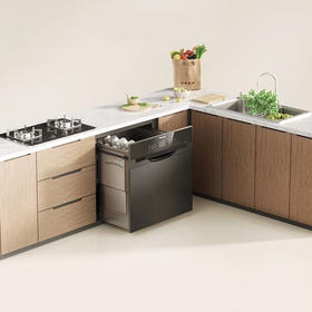 松下/洗碗机/NP-P86K6F5