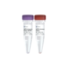 VAHTS Maxi Unique Dual Index Primers Set 1 - Set 4 for Illumina 商品缩略图0