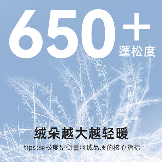 森林棠2023冬季找娃儿童蓬松拼色羽绒服61534268 商品图1