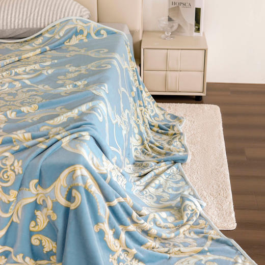 【外贸工厂直供】活性印染云貂绒毛毯 商品图1