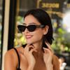 Retro Chic RC复古猫眼太阳镜 商品缩略图1