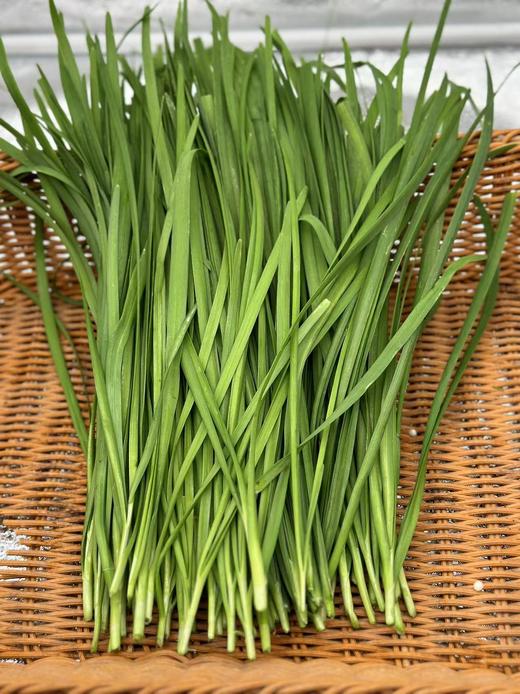 【自营】高原有机韭菜 250g ±10g 商品图1