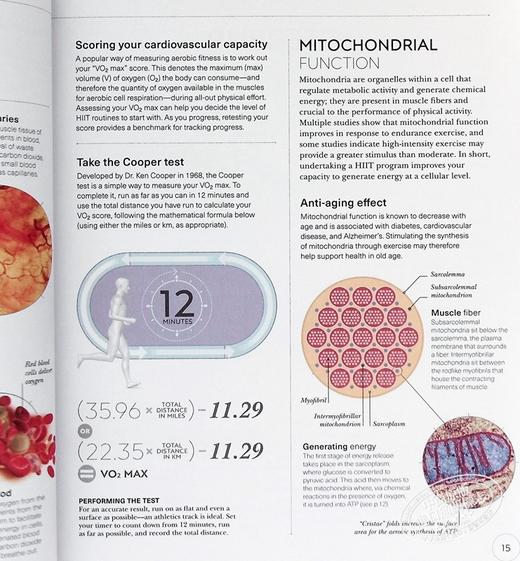 【中商原版】DK科学百科系列之Hiit科学 Science of Hiit  Anatomy Physiology to Transform Your Body 英文原版 Ingrid S Clay 商品图5