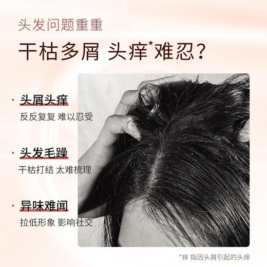 滋源茶籽水润去屑洗头水(中干性)	535ml 商品图1