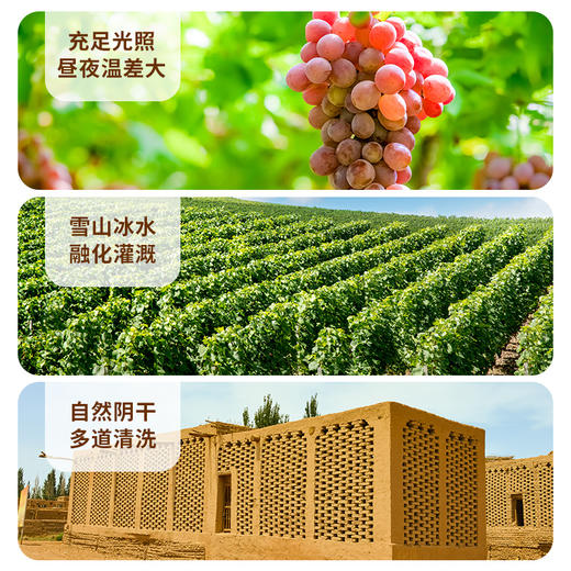 【疆果果】新疆特产 柠檬风味葡萄干 105g*2袋 商品图3