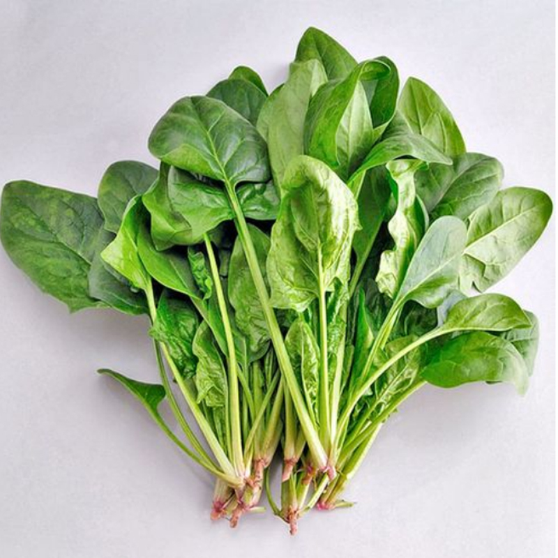 【自营】高原有机菠菜250g  ±10g