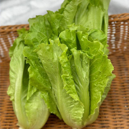【自营】高原有机生菜 250g  ±10g 商品图1