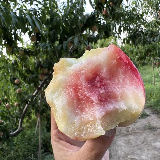 新疆沙漠香蜜脆桃  5斤礼盒装 商品图2