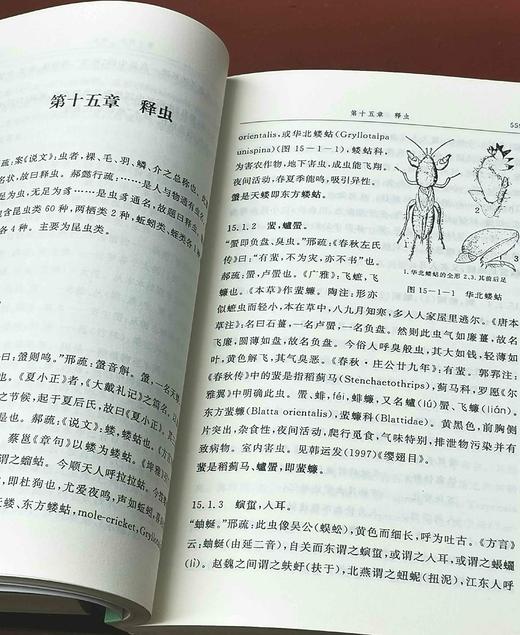 《尔雅注证》上下册 郭郛著 商品图8