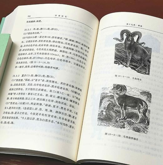 《尔雅注证》上下册 郭郛著 商品图14