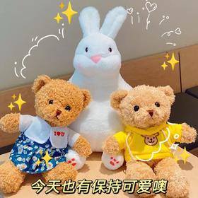 【送礼佳品！可爱小兔子公仔】 抱枕玩偶小熊兔子毛绒玩具布娃娃 慵懒兔礼物，温柔迷人的笑容，让人不禁想要拥抱一整年-QQ