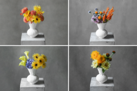 初秋记忆  Early Autumn Memory