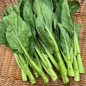 【自营】高原有机菜心250g ±10g