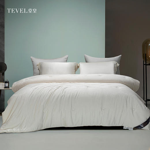 6F堂皇铂金大豆纤维被二代 商品图0