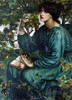 Pre-Raphaelite Sisters：Notecards—Set of 16 notecards / 拉斐尔前派的姐妹们：一套16张记事卡 商品缩略图1