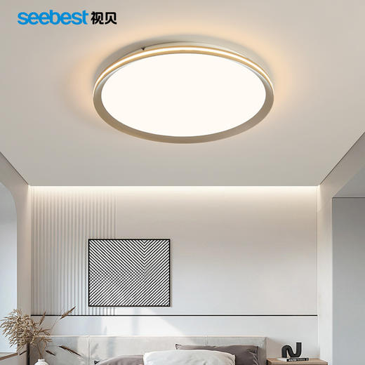 曙影圆-卧室灯(智能离线语音控制)（大圆停产） 商品图2