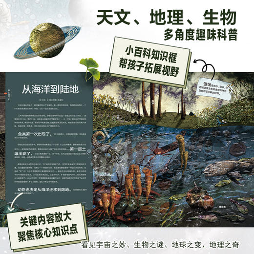 生命的历程 商品图3