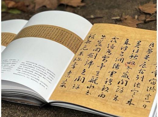 《宋拓魅力：碑帖珍本特展》，16开，精装，故宫博物院、中文大学编，故宫出版社2023年9月一版一印，定价360，售价288元 商品图11