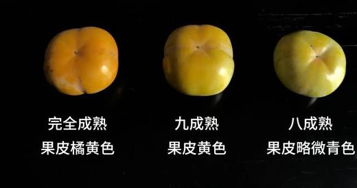 【柿柿大吉】云南保山脆柿！脆！甜！ 3斤/5斤【社群】 商品图9