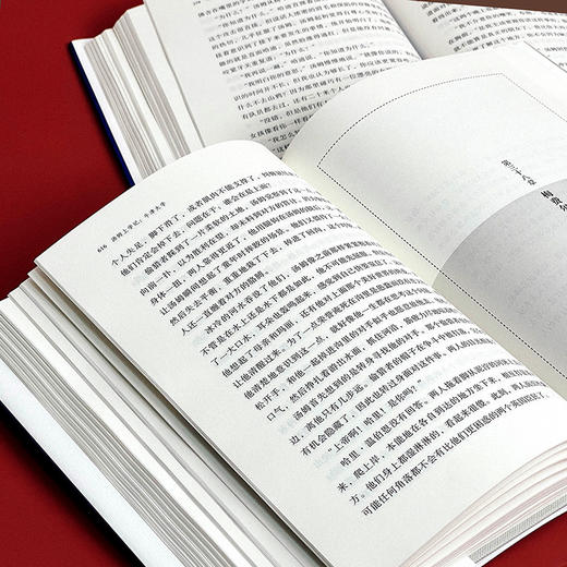 启蒙编译 汤姆上学记 牛津大学 上下2册 校园小说名著 商品图14