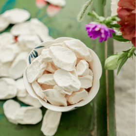  春季第一补丨上补肺 中补脾 下补肾 