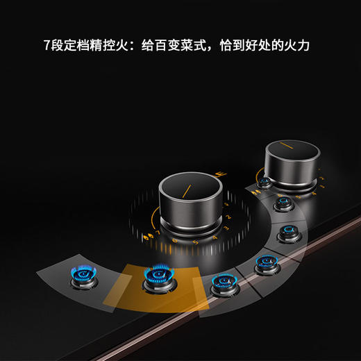 方太/灶具/JEX20/燃气灶煤气灶双灶家用天然气灶台嵌入灶具猛火 商品图3