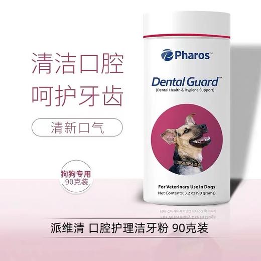 派维清口腔护理洁牙粉 商品图0