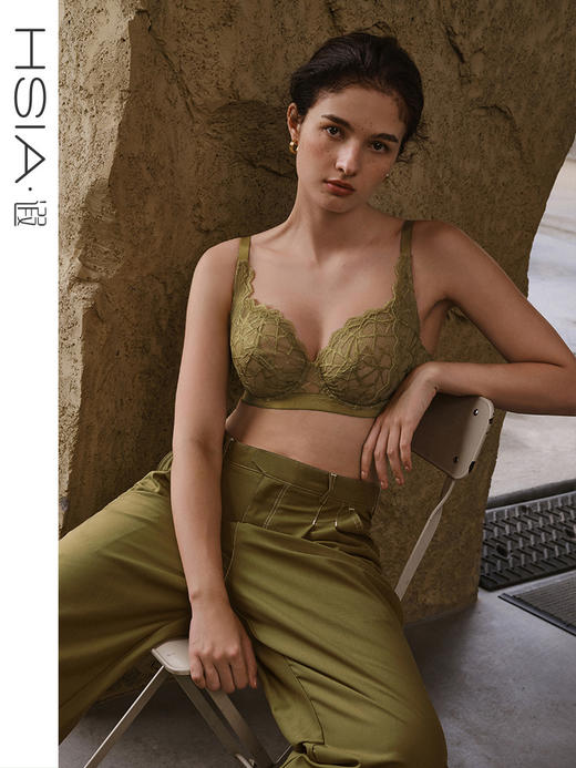 HSIA遐内衣女全罩杯微聚拢胸罩静奢风三角斑纹轻薄大胸显小文胸 商品图0